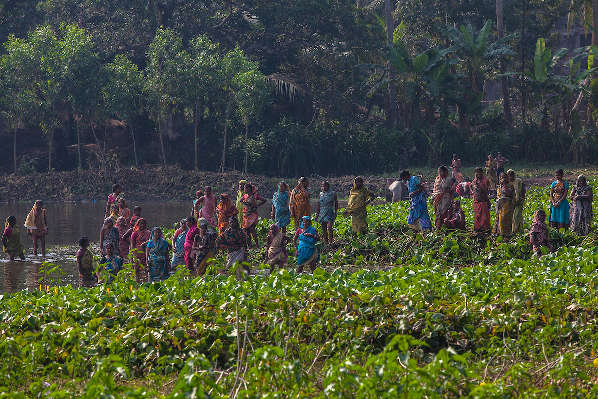 Field visit – AusAID project, Odisha